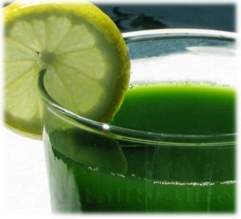 Wheatgrass_ juice